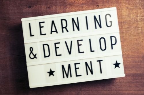 learning and development consultant