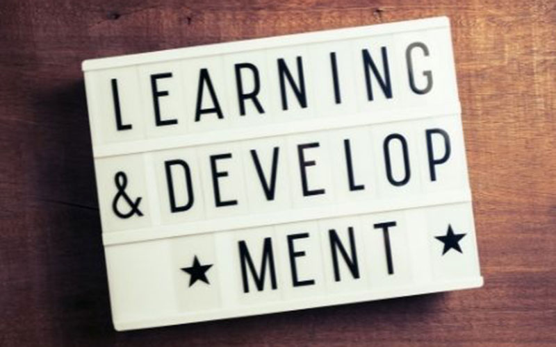 learning-and-development-consultant
